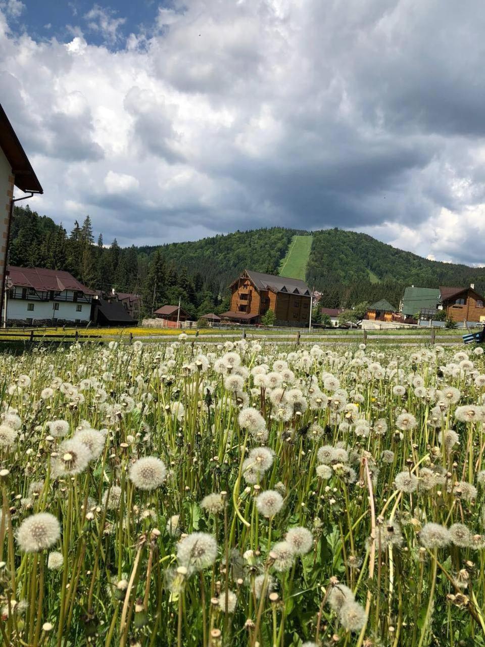 Sadyba u Halyny Sunrise Bukovel Bagian luar foto