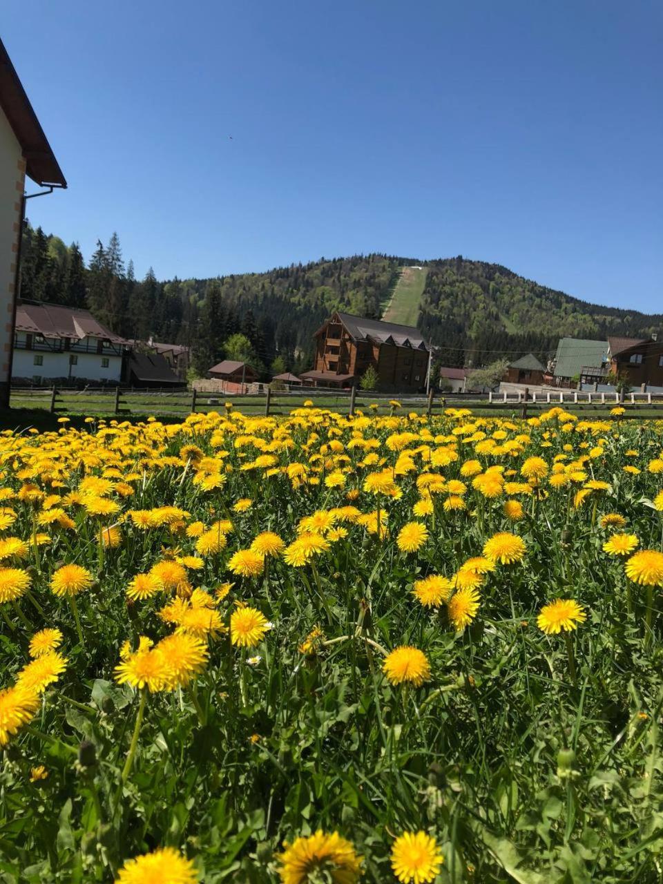 Sadyba u Halyny Sunrise Bukovel Bagian luar foto
