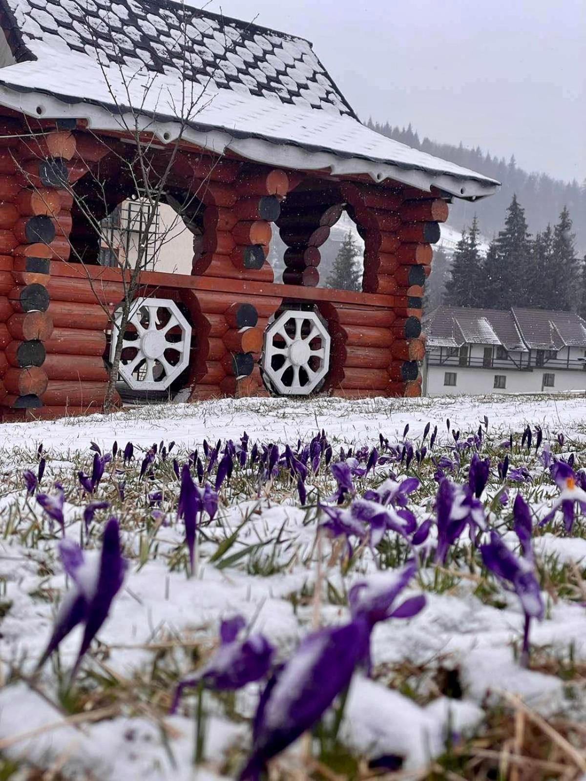Sadyba u Halyny Sunrise Bukovel Bagian luar foto