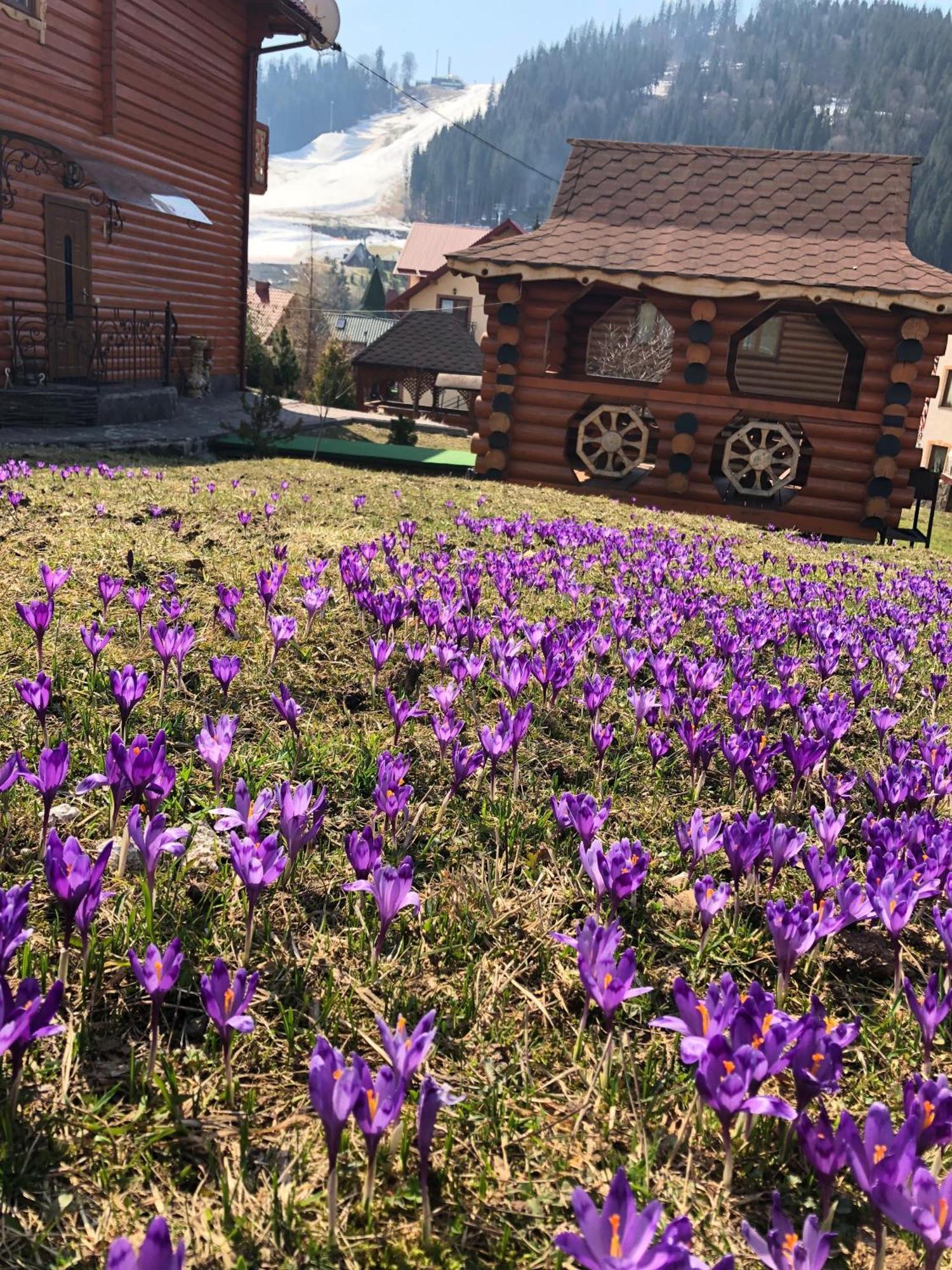 Sadyba u Halyny Sunrise Bukovel Bagian luar foto