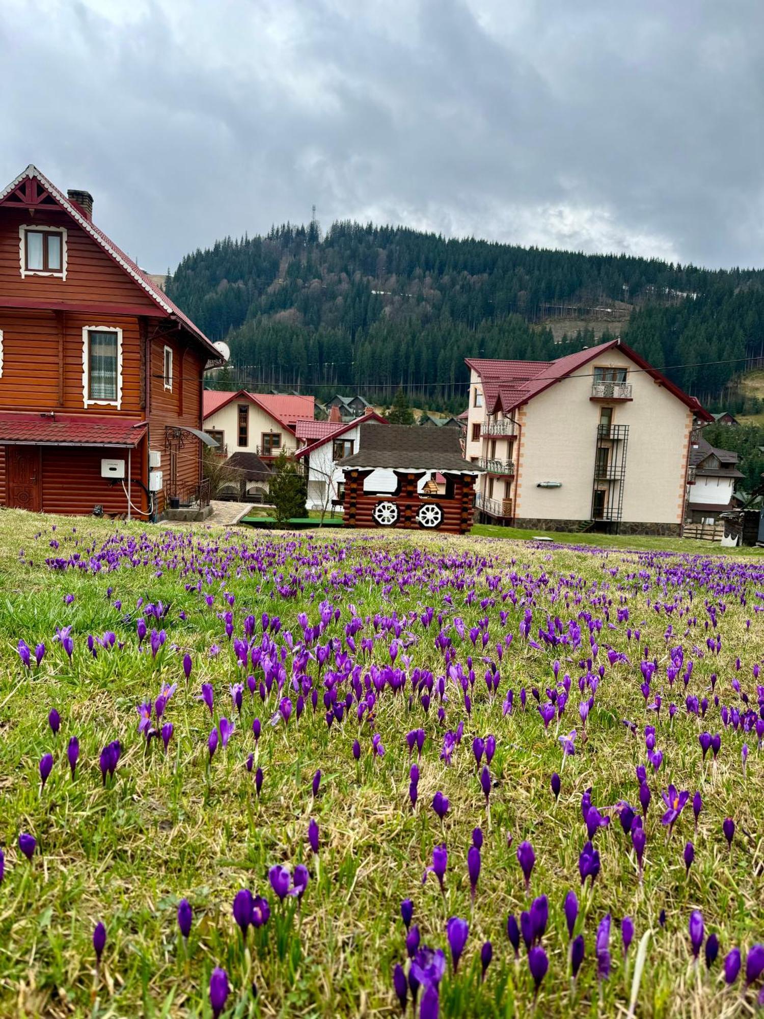Sadyba u Halyny Sunrise Bukovel Bagian luar foto
